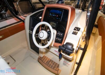 Big Thunder Capoforte raffle - Woo Girls Work